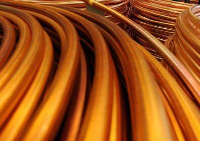 新闻动态-尊龙时凯