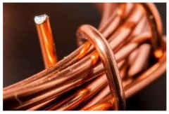 新闻动态-尊龙时凯