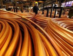 新闻动态-尊龙时凯