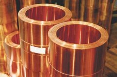 新闻动态-尊龙时凯